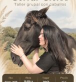 CERRAR CICLOS Taller vivencial con caballos